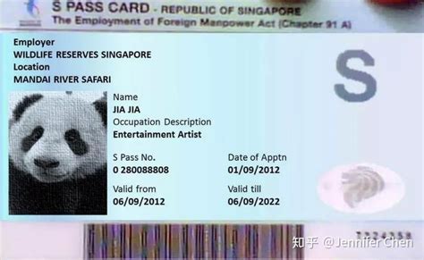 认识新加坡工作签证：EP、SP、WP，哪一种适合您的人才？ - 知乎