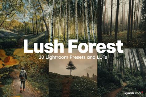 55+ Professional Lightroom Presets 2024 | Design Shack