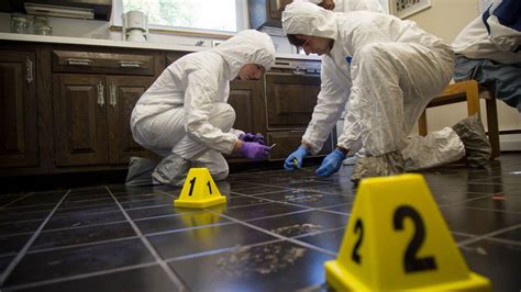 Forensic Scientist Explained 的图像结果