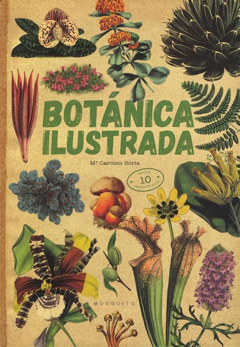 Botánica ilustrada : Amazon.in: Office Products