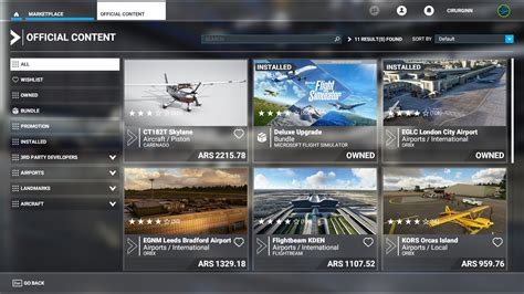 Image result for Flight Simulator Auction
