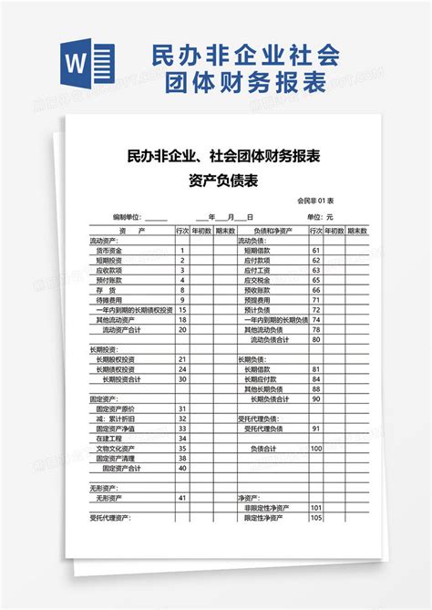 民办非企业社会团体财务报表WORD模板下载_报表_图客巴巴