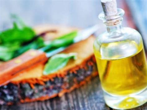 घाव भरने में मदद करेगा पुदीने का तेल और दालचीनी : अध्ययन | Peppermint ...