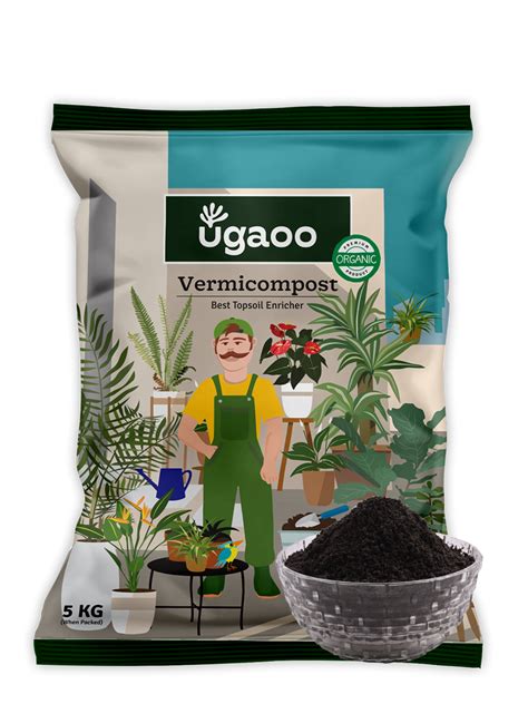 Importance of Planting Trees in Schools: Benefits & Significance – Ugaoo