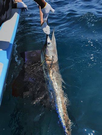 Sport Fishing Asia (Kuala Rompin) - 2022 What to Know Before You Go ...