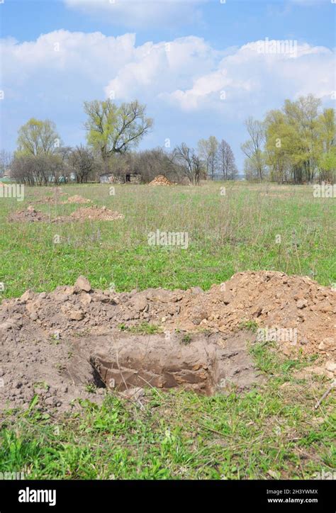 Dig Hole 的图像结果