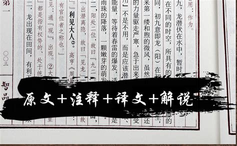 刘海军（河南三门峡） - 周易名家百科—华辰文化