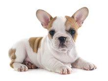 Image result for What Are Computer Model Examples