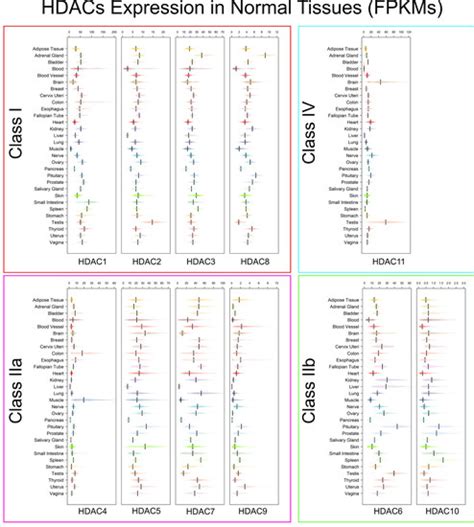 Histone Deacetylases (HDACs): Evolution, Specificity, Role in ...