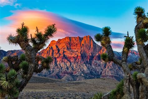 Las Vegas Red Rock Canyon - A Spectacular Desert Wonderland near Las ...
