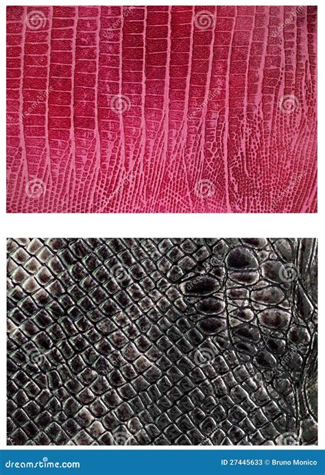 Leather Work Snake Skin 的图像结果