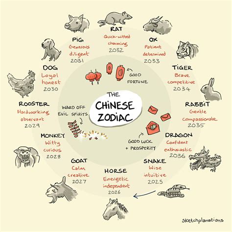 The Chinese Zodiac: Animals, Years, and Meanings - Sketchplanations