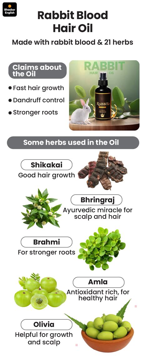 Rabbit blood becomes hair oil in Tamil Nadu | Oil sold online
