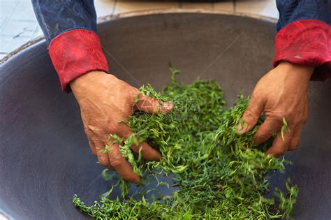 叶志尧：“东方美人”制茶师，百年传承，以匠心做好茶 - 知乎