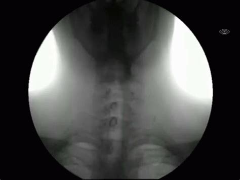 Image result for Swallow His Load