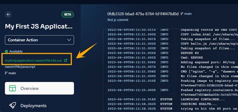 JavaScript Application 的图像结果