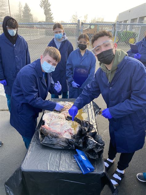 Health Services — Willamette Career Academy