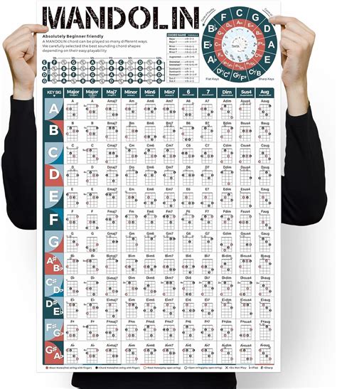 Mandolin Chord Chart Poster Review