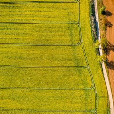 Crops 的图像结果