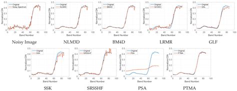 Hyperspectral Image Denoising Based on Principal-Third-Order-Moment ...
