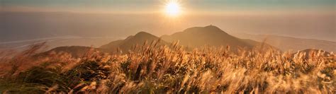 Image result for How to Use Variable Neutral Density Filter in Auto Mode