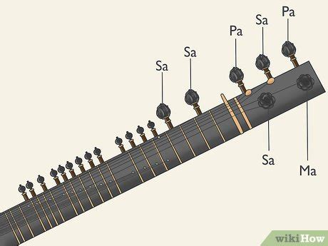 Image result for Basic Sitar