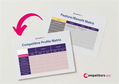 Competitive Matrix Example 的图像结果