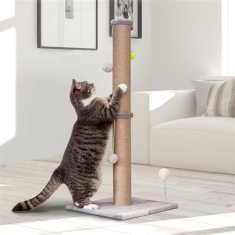Image result for Cat Scratching Post Review