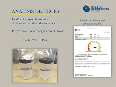 Inicio - Rock River Lab