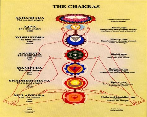 Chakra Tutorial 的图像结果