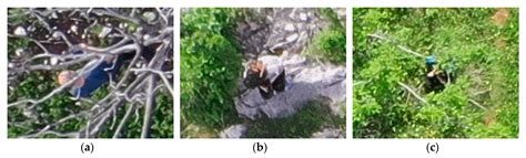 Visual-Based Person Detection for Search-and-Rescue with UAS: Humans vs ...