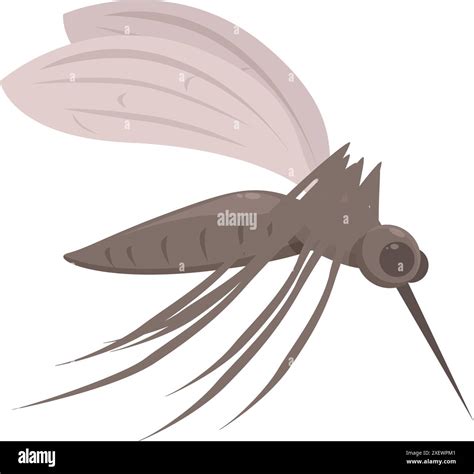 Mosquito spreading malaria zika and dengue fever flying insect Stock Vector Image & Art - Alamy