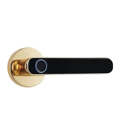 Golens X43 Smart Digital Fingerprint,Key Door Lock, Door Knob, Keyless ...