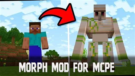 Image result for How to Use Morph Mod