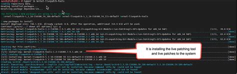 4. Now we have enabled kernel live patch,and you can verify by below ...