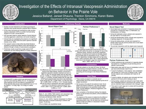 Image result for Academic Poster Layout Example