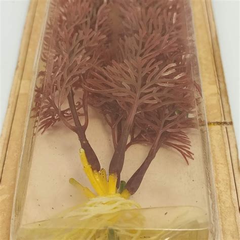 Buy Vintage Aquarium Plant - Flowering Cabomba by Penn Plax - New In ...