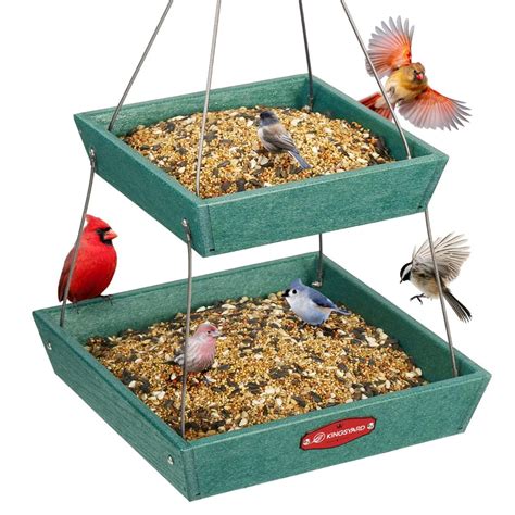 What Type of Bird Feeder for Mealworms: Ultimate Guide for Birds - Birds