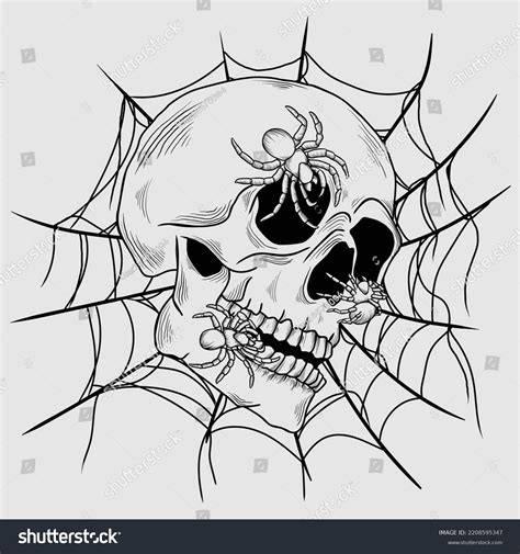 Spider Skull Drawing