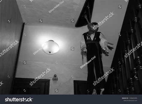 Image result for Ceiling Skeleton