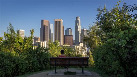 DTLA from Vista Hermosa park : r/LosAngeles