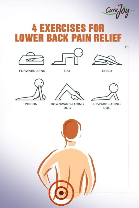 Image result for Daily Lower Back Exercises