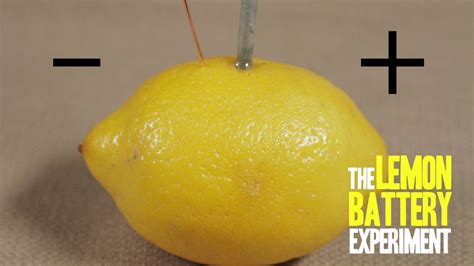 How to Make a Lemon Battery - Kidpid
