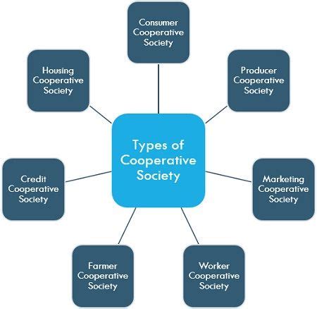 Co Operative Society Examples 的图像结果