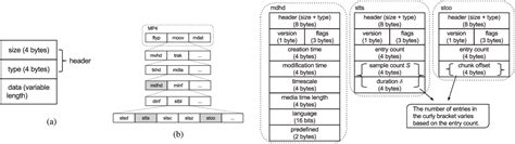 Image result for MP4 Container Format