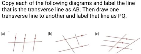 Image result for Transverse Line