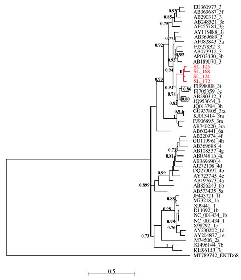 Detection of hepatitis E virus (HEV) in pork sold in Saint-Louis, the ...