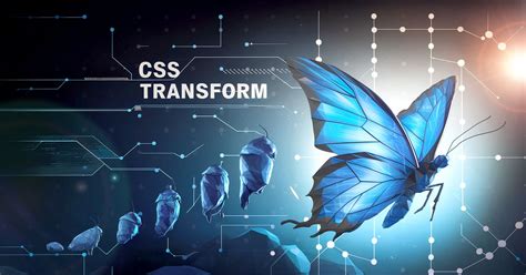 Transform JavaScript 的图像结果