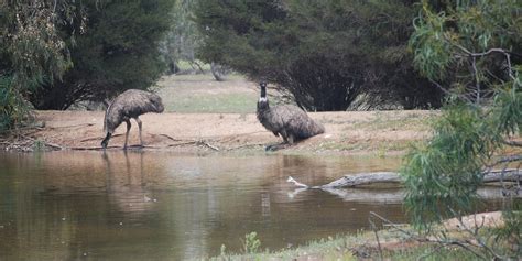 Lara Tourism (2023): Best of Lara, Australia - Tripadvisor
