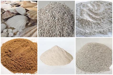 Shell Grinding Process with Machine 的图像结果